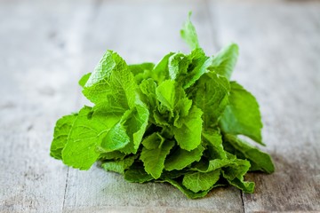 bunch of fresh melissa