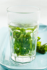 mint tea