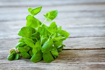 bunch of fresh mint