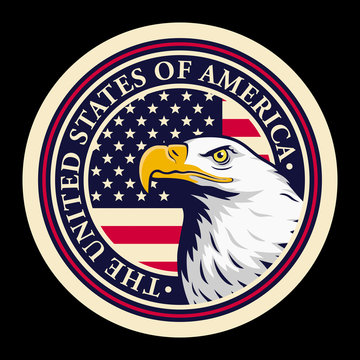 American bald eagle against USA flag background.
