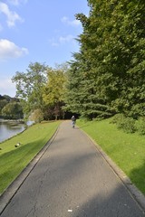 L'un des chemins au bois de Woluwe à Bruxelles