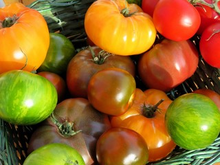 tomates