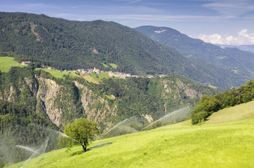 Fototapeta na wymiar Organic Agriculture in South Tyrol