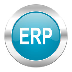 erp internet icon