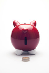 Piggy bank. Rear view.
