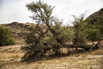 Panorama in Namibia, Africa