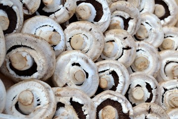 Champignons de Paris couchés