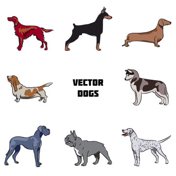 Vector dogs