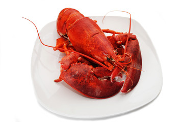 Whole Cooked Lobster on a White Plate