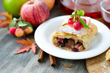 Piece of an apple strudel
