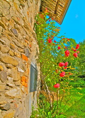 MAISON ROSIER ISERE
