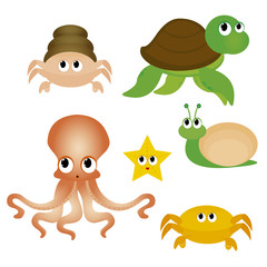 Obraz premium Water animals