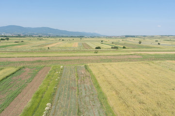 Fototapeta na wymiar aerial view of cultivated fields