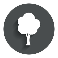 Tree sign icon. Forest symbol.