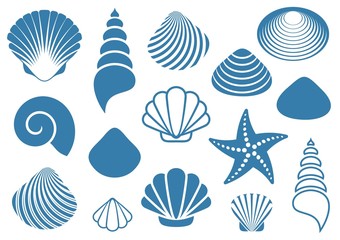 Sea shells - obrazy, fototapety, plakaty