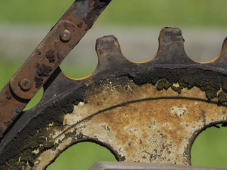 Detalle de Boringes (Nangy-Francia)