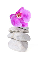 Fototapeta na wymiar Spa stones and purple orchid