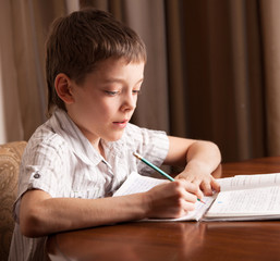 Boy doing homework