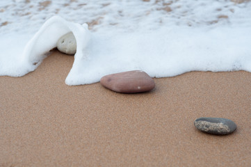 Fototapeta na wymiar Some little stones in the sand, beach shore