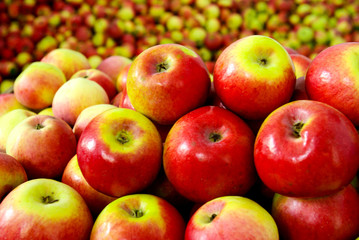 apple