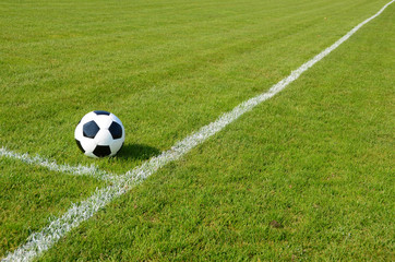 Soccer ball on the field