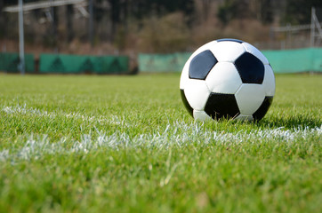 Soccer ball on the field