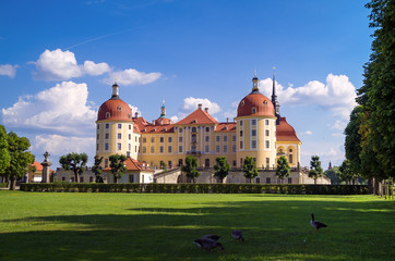 Fototapeta na wymiar Das Schloss Moritzburg