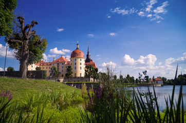Fototapeta na wymiar Teichgraben Schloss Moritzburg Sachsen