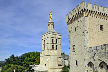 Fototapeta na wymiar Avignone, Palazzo dei Papi e Notre Dame des Domes