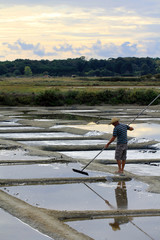 Saliculteur dans les marais
