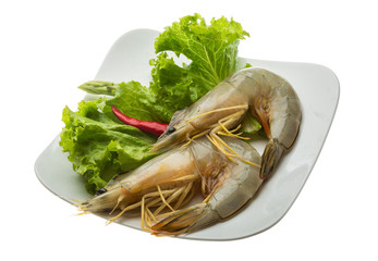 Tiger prawn