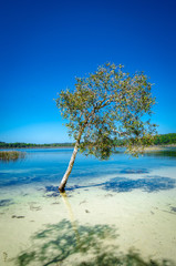 Lake Birrabeen on Fraser Island