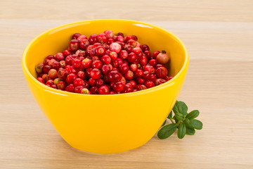 Cowberry