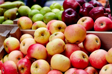Different apples at the market