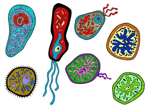 Colorful amebas, amoebas, microbes and germs set