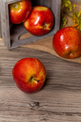 Fresh harvest of Red Apples. Nature theme. Selective focus.