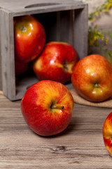 Fresh harvest of Red Apples. Nature theme. Selective focus.