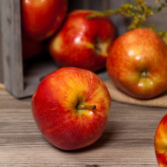 Fototapeta na wymiar Fresh harvest of Red Apples. Nature theme. Selective focus.