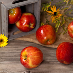 Fresh harvest of Red Apples. Nature theme. Selective focus.