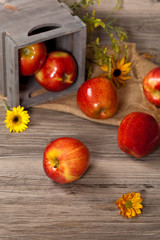 Fresh harvest of Red Apples. Nature theme. Selective focus.