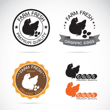 Set of vector an chicken and eggs label on white background