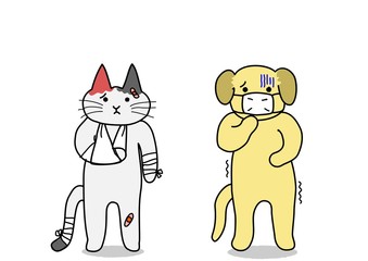 犬と猫、ケガと病気