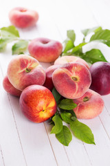 Fresh peaches and nectarines