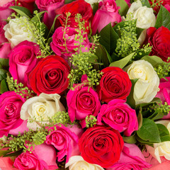 Abstract background of roses