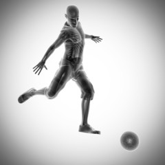 soccer game player radiography image