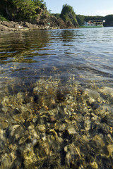 能登金剛　千畳敷岩