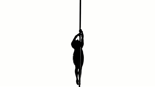 Silhouette of a sexy female pole dancing