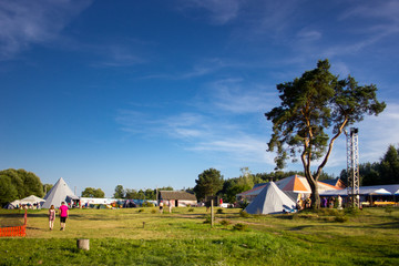 Tents in the tourist camp in a forest glade.