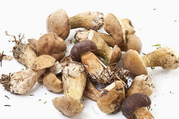 Steinpilze auf weißem Hintergrund , close up