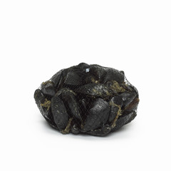 Miesmuscheln im Netz,close-up